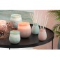Huile Parfumee+Batonnets Capri 200Ml Rose Clair H 26 cm