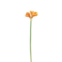 Amaryllis 3 fleurs en plastique orange clair H71cm