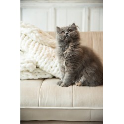 FAUTEUIL 3 PLACE LINA VELOUR/BOIS DE FRENE BEIGE