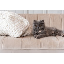 FAUTEUIL 3 PLACE LINA VELOUR/BOIS DE FRENE BEIGE