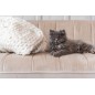 FAUTEUIL 3 PLACE LINA VELOUR/BOIS DE FRENE BEIGE FAUTEUIL 3 PLACE LINA VELOUR/BOIS DE FRENE BEIGE