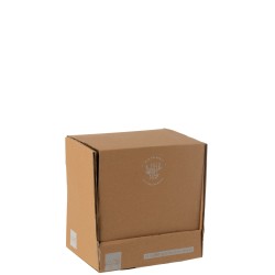 Boîte de 8 pailles en bambou naturel H20cm