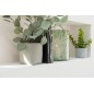 Eucalyptus dans pot en plastique vert 27x22x43 cm Eucalyptus dans pot en plastique vert 27x22x43 cm