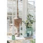 Eucalyptus dans pot en plastique vert 27x22x43 cm Eucalyptus dans pot en plastique vert 27x22x43 cm