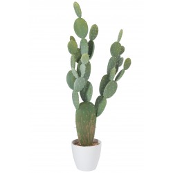 Cactus vert dans pot en plastique blanc 60x24.5x130 cm