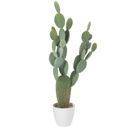 Cactus vert dans pot en plastique blanc 60x24.5x130 cm