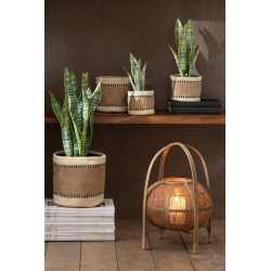 Pot de sansevieria artificiel en plastique vert 10x10x36 cm