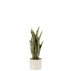 Pot de sansevieria artificiel en plastique vert 10x10x36 cm