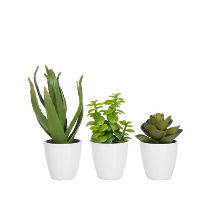 Conjunto de 3 plantas suculentas de plástico blanco - verde 11.5x11.5x21 cm