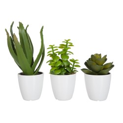 Set de 3 plantes grasses en plastique blanc - vert 11.5x11.5x21 cm