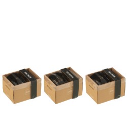 Lot de 3 mugs en céramique noire et or H10cm