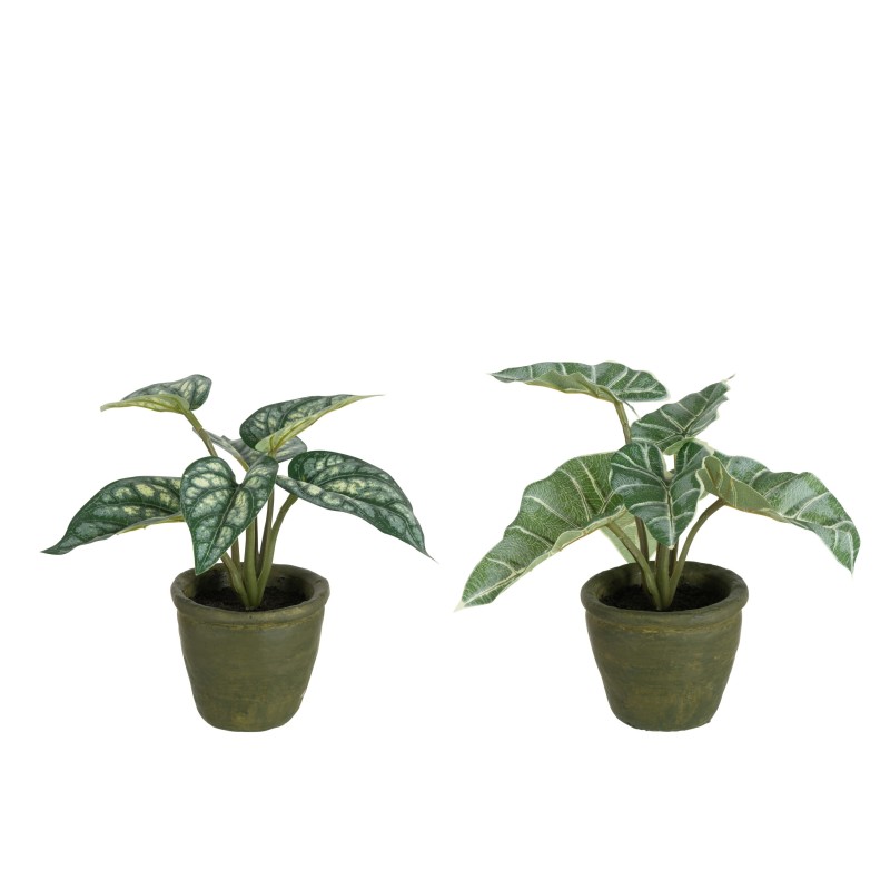 Set de 2 plantes en plastique vert 22x22x20 cm Set de 2 plantes en plastique vert 22x22x20 cm
