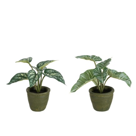 Set de 2 plantes en plastique vert 22x22x20 cm