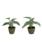 Set de 2 plantes en plastique vert 22x22x20 cm Set de 2 plantes en plastique vert 22x22x20 cm