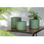 Set de 2 plantes en plastique vert 22x22x20 cm Set de 2 plantes en plastique vert 22x22x20 cm