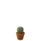 Cactus artificiel rond dans pot en plastique vert 11x11x15 cm Cactus artificiel rond dans pot en plastique vert 11x11x15 cm
