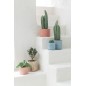 Cactus artificiel rond dans pot en plastique vert 11x11x15 cm Cactus artificiel rond dans pot en plastique vert 11x11x15 cm