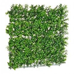 Plante décorative Vert Plastique (50 x 5 x 50 cm)