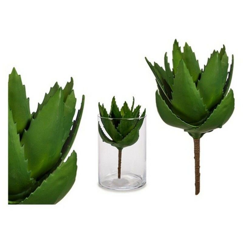 Plante décorative 8430852770363 Vert Plastique