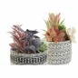 Plante décorative DKD Home Decor Cactus Polyéthylène Blanc Résine Multicouleur 11 x 11 x 21 cm (2 Unités)