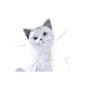 Figurine Décorative DKD Home Decor Blanc Romantique Chat 9 x 9 x 24 cm