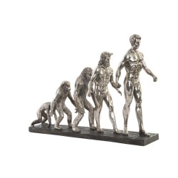 Figura Decorativa DKD Home Decor Origin of Species Plateado Cromado 55 x 18 x 42 cm