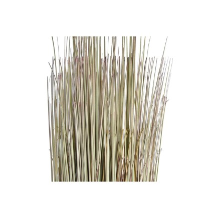 Plante décorative DKD Home Decor Marron Vert PE (25 x 25 x 68 cm) (2 Unités)