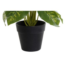 Plante décorative DKD Home Decor Noir Vert PVC polypropylène 20 x 20 x 30 cm
