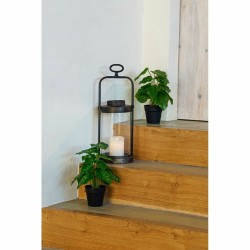Plante décorative DKD Home Decor Noir Vert PVC polypropylène 20 x 20 x 30 cm