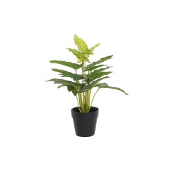 Plante décorative DKD Home Decor Noir Vert PVC polypropylène 25 x 25 x 30 cm