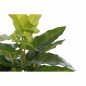 Plante décorative DKD Home Decor Noir Vert PVC polypropylène 25 x 25 x 30 cm