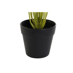 Plante décorative DKD Home Decor Noir Vert PVC polypropylène 25 x 25 x 30 cm