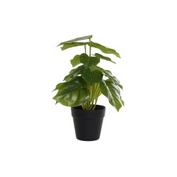 Plante décorative DKD Home Decor Noir Vert PVC polypropylène 20 x 20 x 30 cm