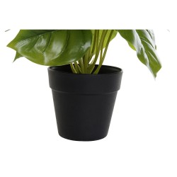 Plante décorative DKD Home Decor Noir Vert PVC polypropylène 20 x 20 x 30 cm