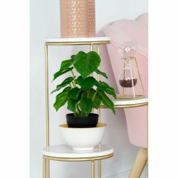 Plante décorative DKD Home Decor Noir Vert PVC polypropylène 20 x 20 x 30 cm