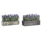 Plante décorative DKD Home Decor Bois Lila Vert PE (32 x 14 x 19,5 cm) (2 Unités)