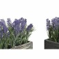Plante décorative DKD Home Decor Bois Lila Vert PE (32 x 14 x 19,5 cm) (2 Unités)