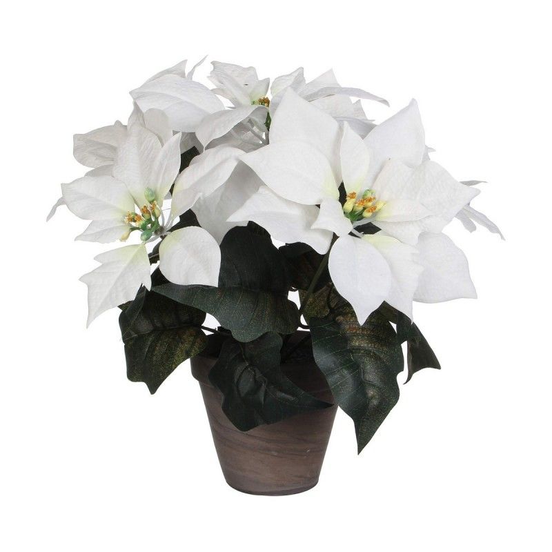 Planta Decorativa Blanco PVC (27 X 35 CM)