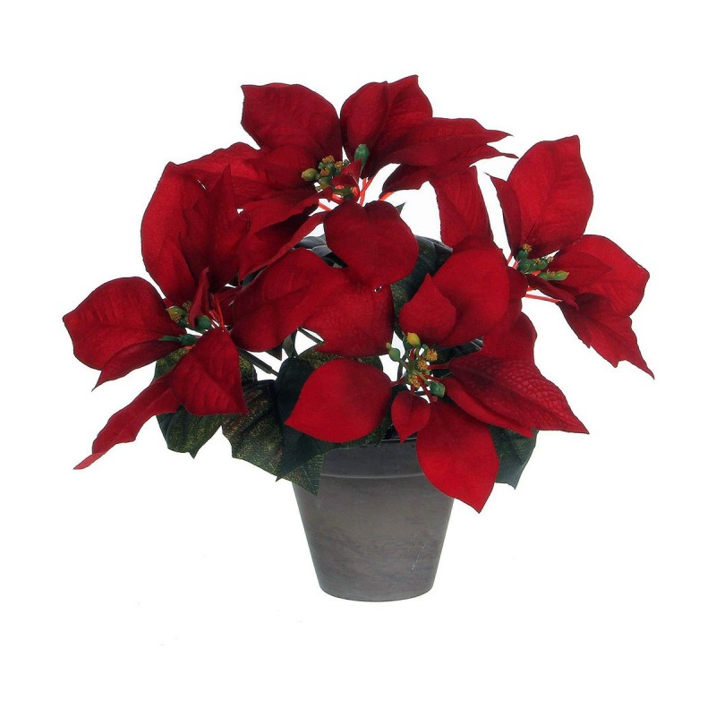 Plante décorative Mica Decorations Rouge PVC