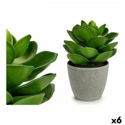 Planta Decorativa Gris Verde (16 x 21 x 16 cm) (6 Unidades)