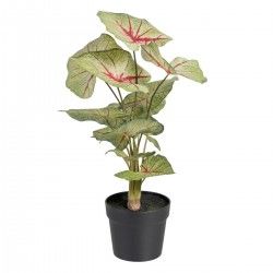 Plante décorative Rouge Vert PVC 40 x 35 x 55 cm