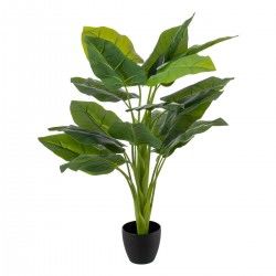 Plante décorative Vert 95 cm Baie