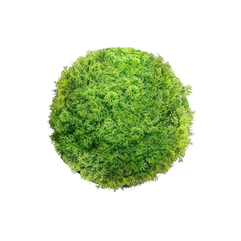 Planta Decorativa   Bola Musgo 20 x 20 x 20 cm