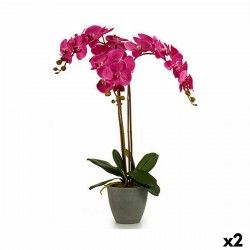 Plante décorative Orchidée Plastique 60 x 78 x 44 cm (2 Unités)