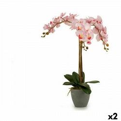 Plante décorative Orchidée Plastique 29 x 78 x 35 cm (2 Unités)
