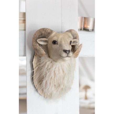 Cabeza de cabra suspendida en resina beige 24.5x24.5x36 cm