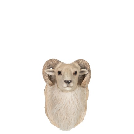 Cabeza de cabra suspendida en resina beige 24.5x24.5x36 cm