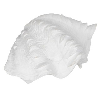 Figura Decorativa Blanco Caracola 14 x 7 x 10 cm