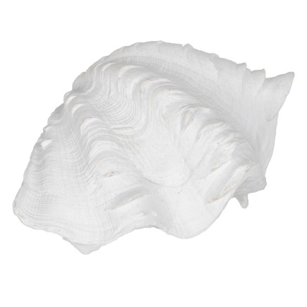 Figura Decorativa Blanco Caracola 14 x 7 x 10 cm