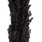 Branche Noir 7 x 7 x 190 cm